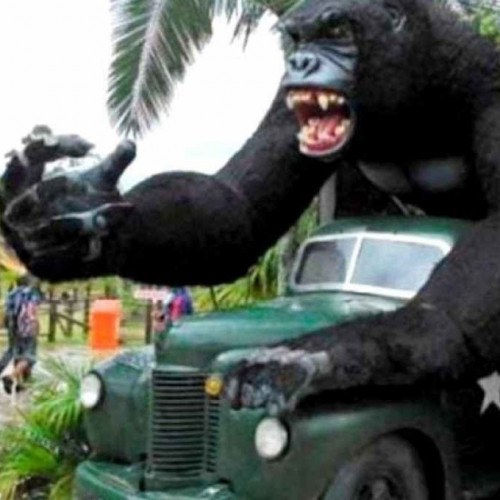 Criança cai de atração no Beto Carrero