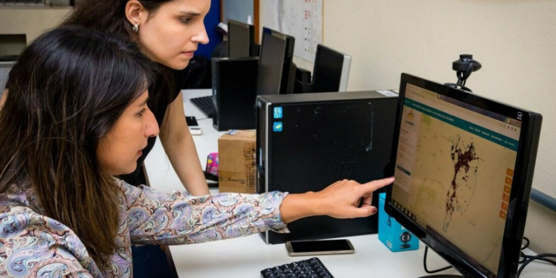 Professora da UFRJ cria monitoramento diário de incêndios florestais