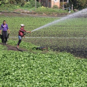 Produtores e moradores da zona rural farão testes hoje