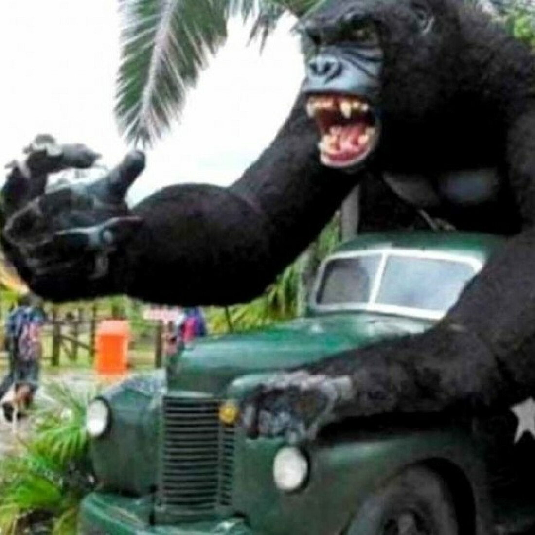 Criança cai de atração no Beto Carrero