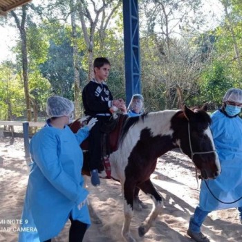 APAE de Mogi lança projeto no setor de Equoterapia