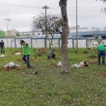 Junho Ambiental terá reintrodução de orquídeas