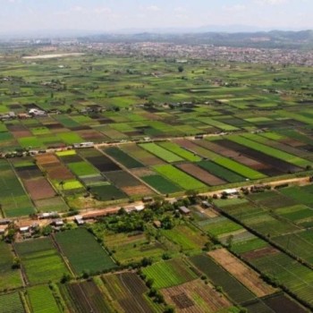 Produtores e moradores farão testes da Covid-19
