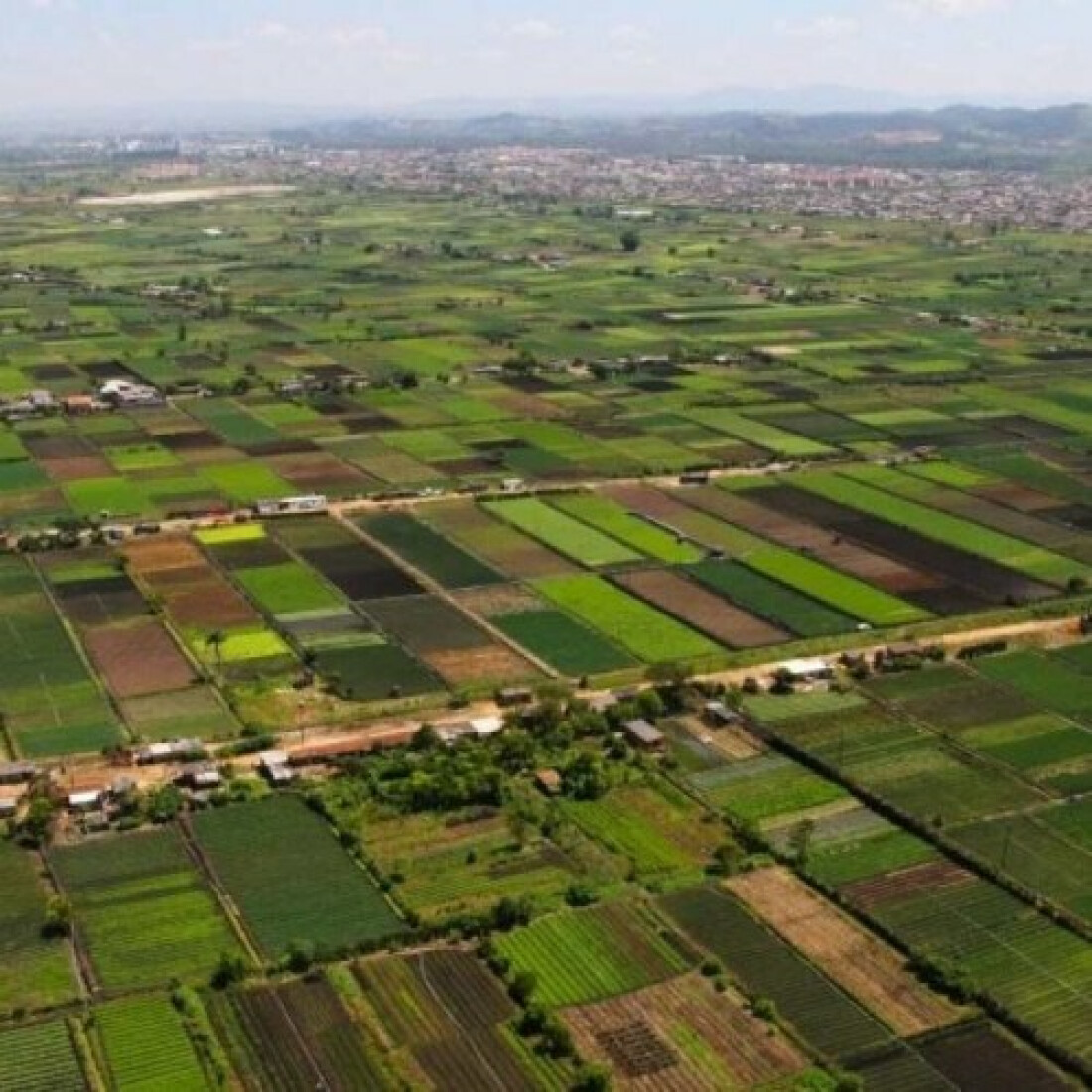 Produtores e moradores farão testes da Covid-19