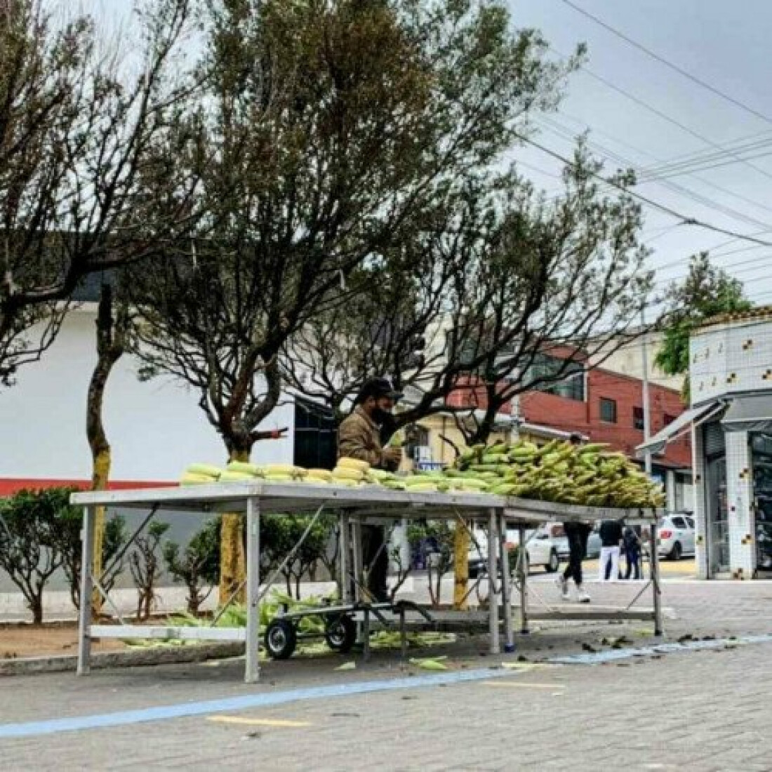 Ferraz abre inscrições para empreendedores de rua