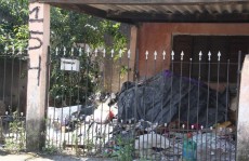 Bairro quer solução para lixo acumulado em imóvel