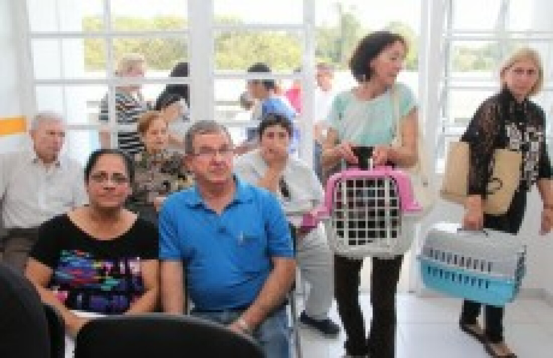 Hospital veterinário faz 272 atendimentos e 15 cirurgias