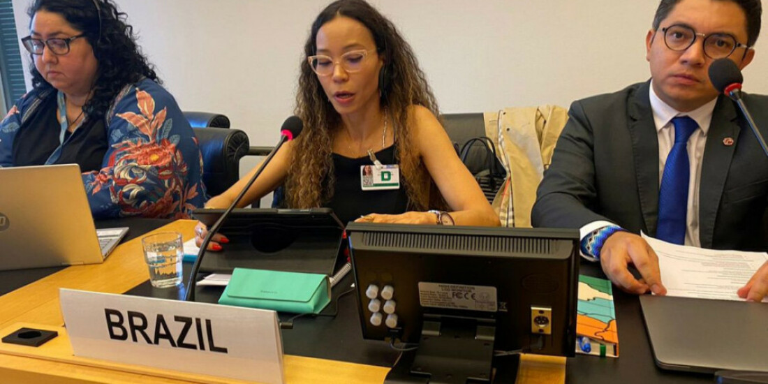 Brasil participa da 138ª Sessão do Comitê de Direitos Humanos da ONU