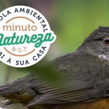 Secretaria da Educação lança revista ambiental