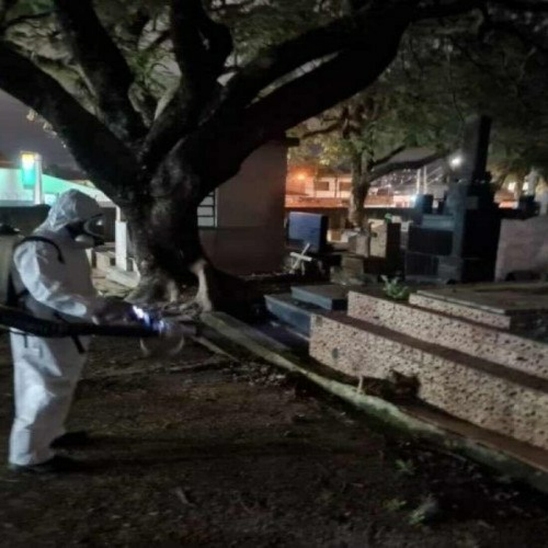 Zoonoses faz trabalho de prevenção no cemitério São Salvador