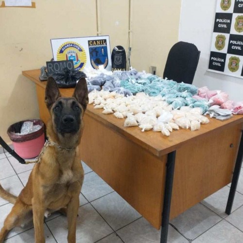 Imóvel no Jd. Monte Cristo abrigava 11 quilos de drogas