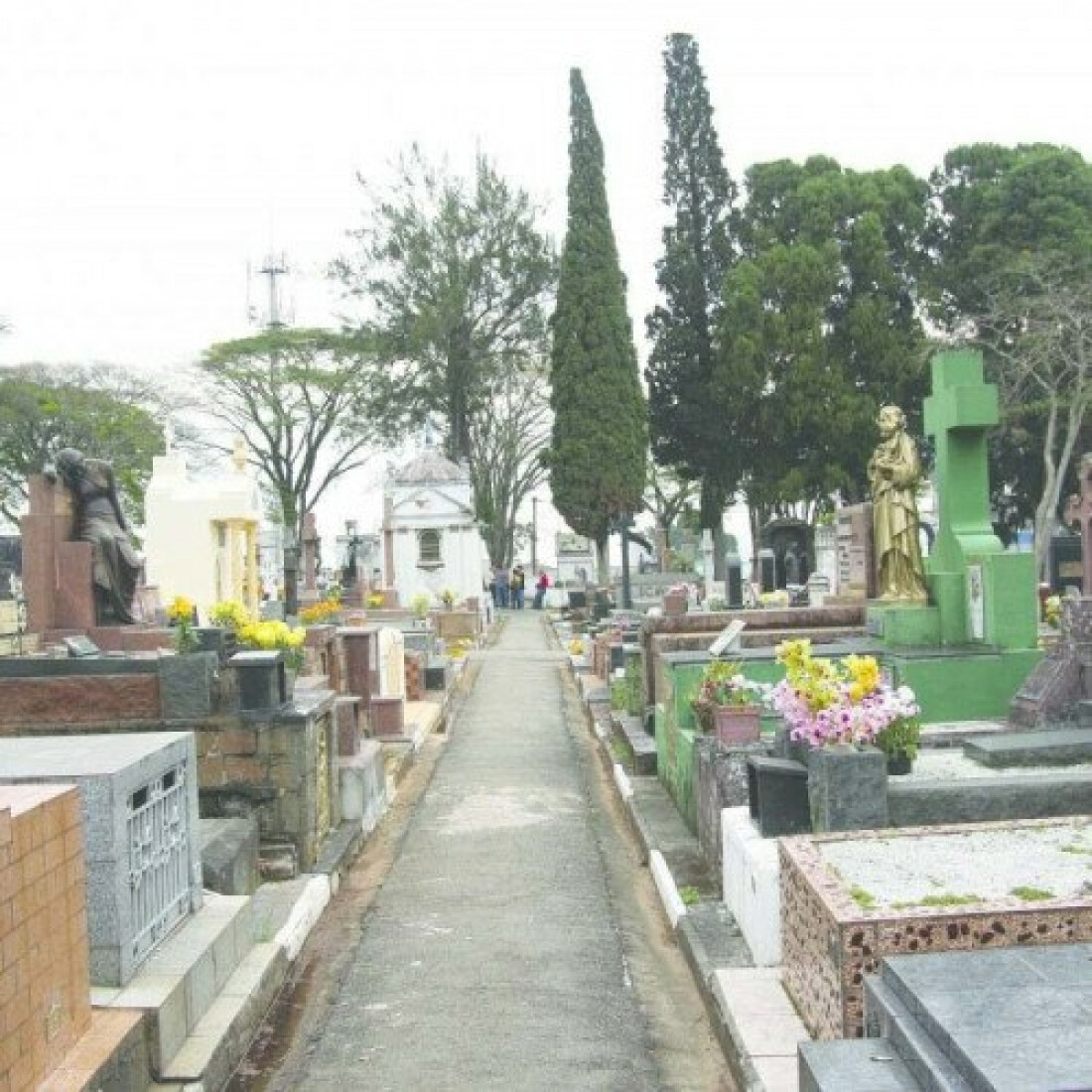 Mortes gerais no 1º bimestre têm elevação de 36% no G5