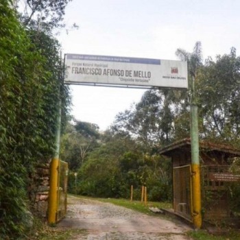 Plantio de árvores e soltura de balões são adiados