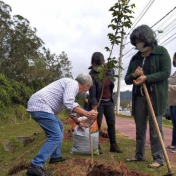 Evento completa plantio de mudas na Pedro Romero