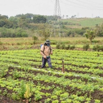 Produtores e moradores da zona rural farão testes da Covid-19