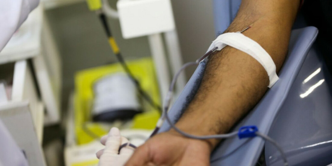 Doações de sangue e plaquetas para o Inca crescem 6,5%