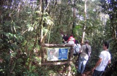 Parque das Neblinas completa 12 anos com 6.100 hectares