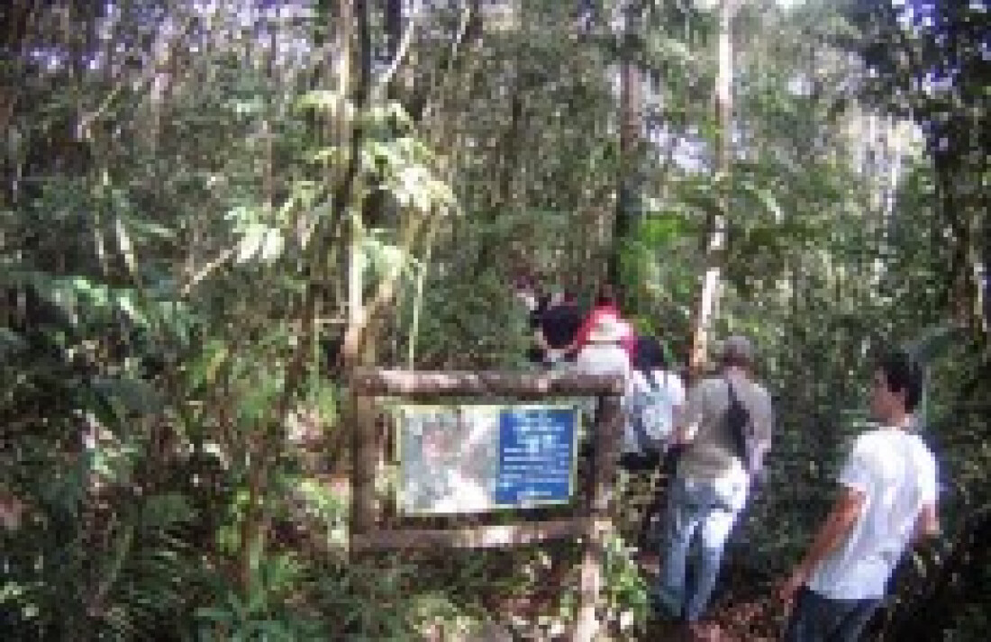 Parque das Neblinas completa 12 anos com 6.100 hectares