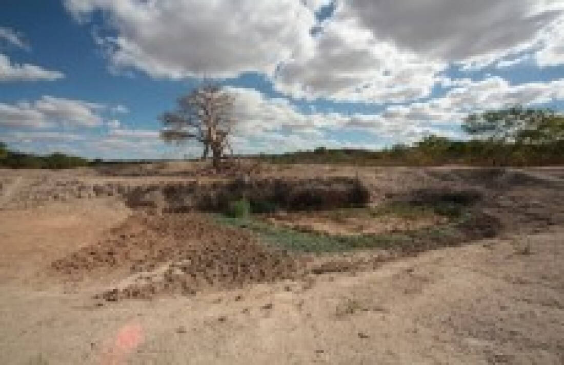 Seca afeta 90 municípios baianos