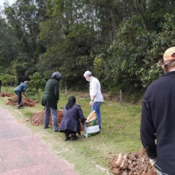 Plantio de mudas dá início a ação Junho Ambiental