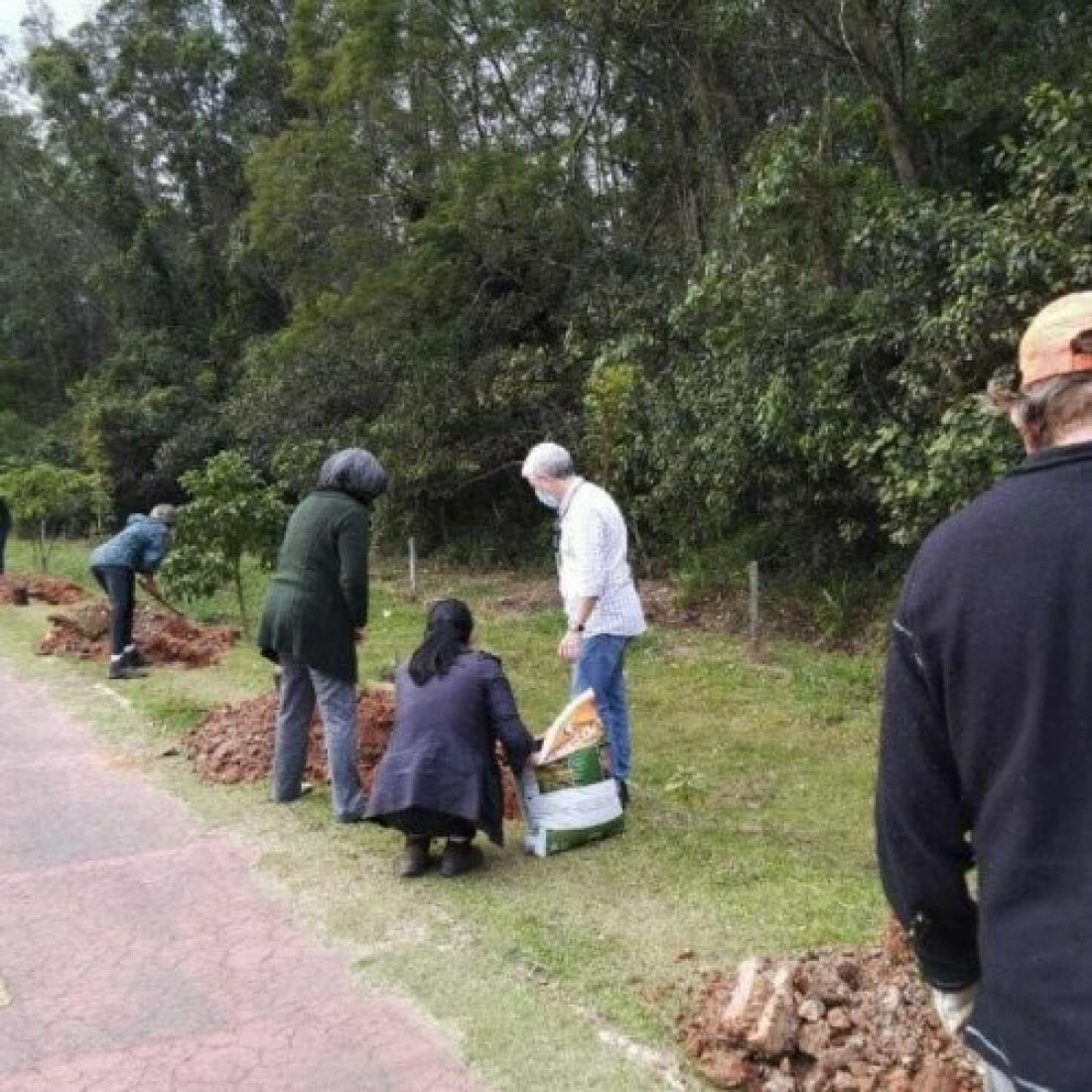 Plantio de mudas dá início a ação Junho Ambiental