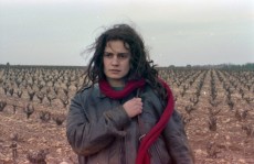 Cineclube da UMC traz longa sobre o desafio de ser mulher