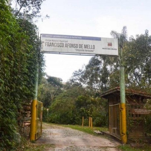 Evento começa hoje com trilha virtual e plantio de mudas