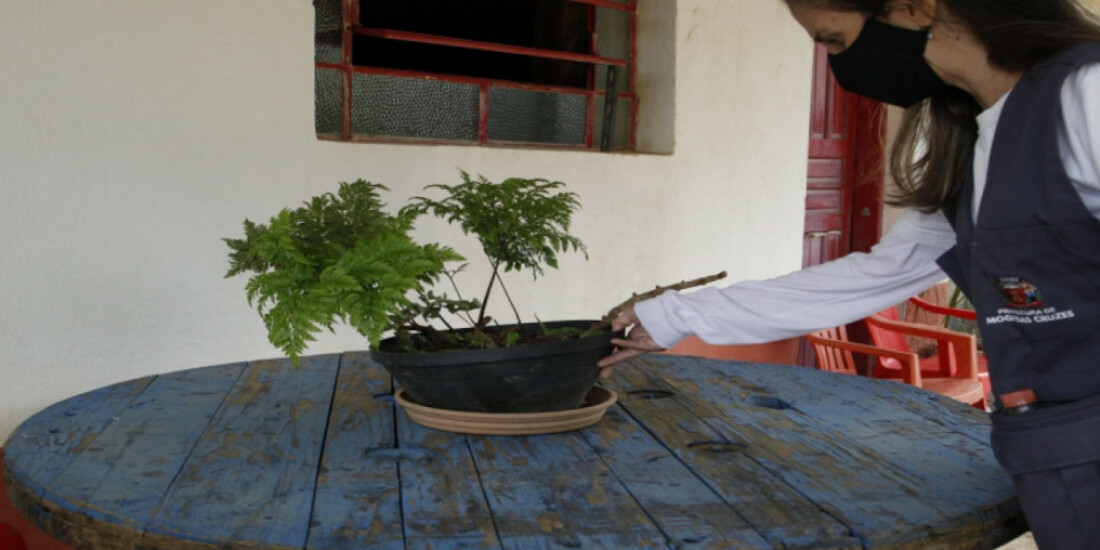 Mogi intensifica ações contra o Aedes aegypti