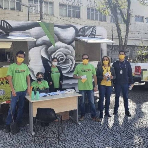 ? programa doa mudas de ipê amarelo