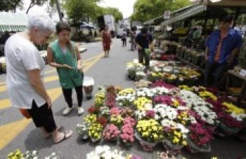 Comerciantes que atuarão no feriado foram definidos