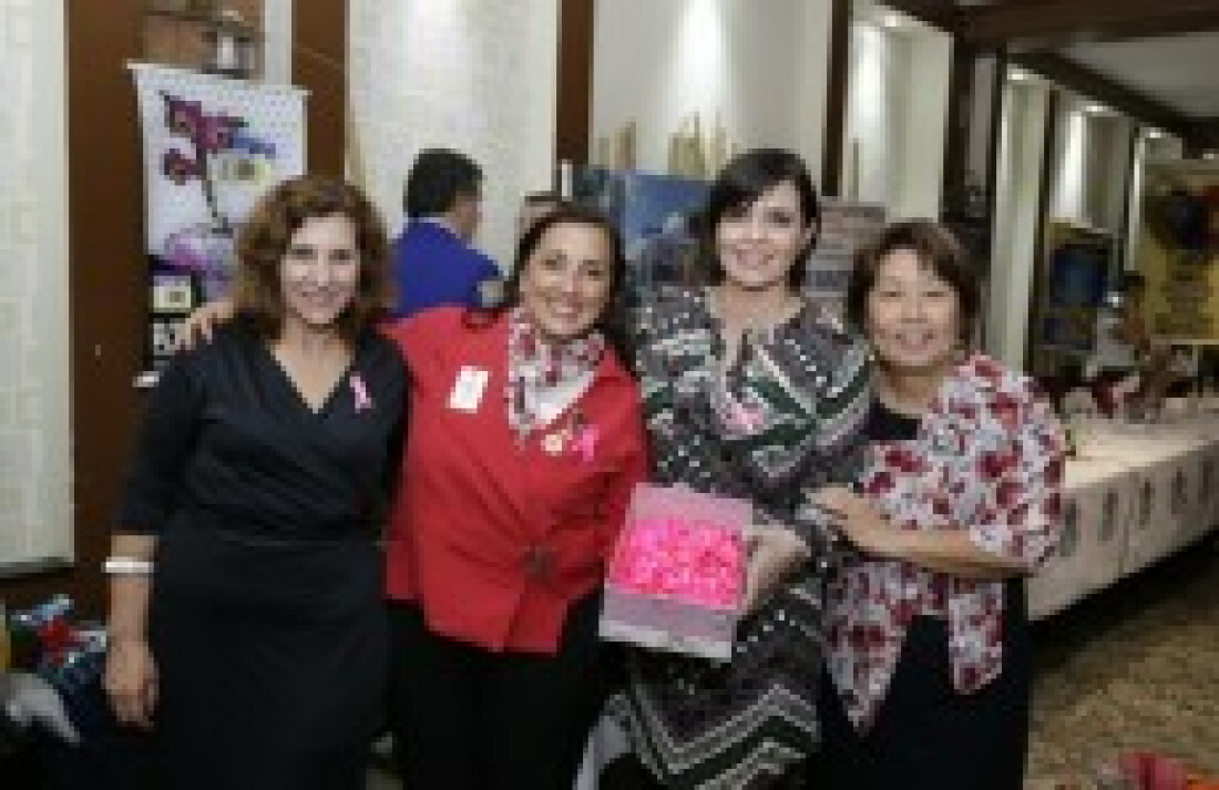 Governador Lions