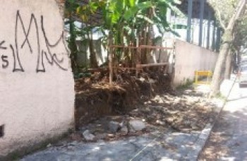 Queda de árvore derruba muro de escola: