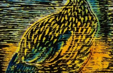 'Olhares Cruzados' une arte entre Paris e SP