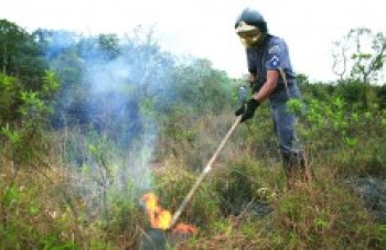 Alto Tietê já registra 263 focos de incêndios de janeiro a julho