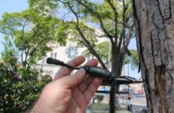 Iluminação na Coronel Almeida é vandalizada