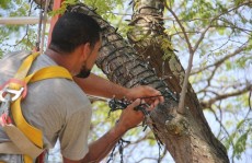 Mogi investirá R$ 149 mil na decoração deste Natal