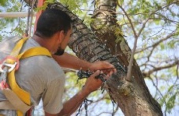 Mogi investirá R$ 149 mil na decoração deste Natal