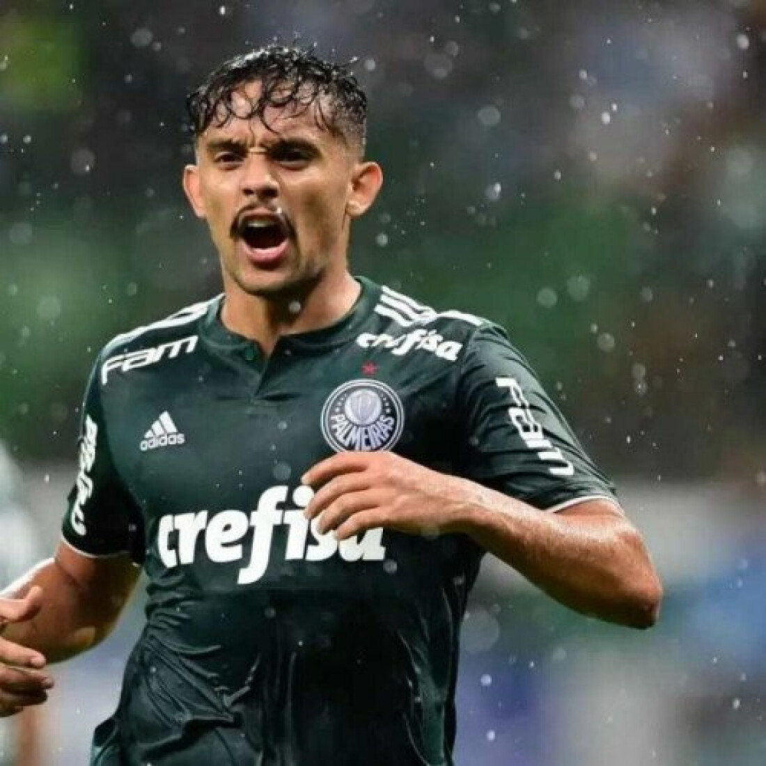 Para chegar à semi, Palmeiras se inspira na Libertadores