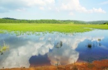 Alto Tietê e Cantareira seguem em estado crítico