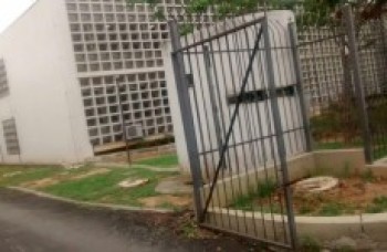 Árvores na rua do Fórum são cortadas: