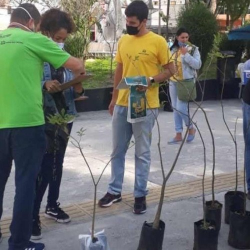 Programa "Viveiro na Rua" faz doação de mudas