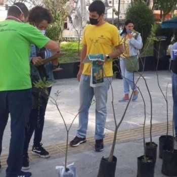 Programa "Viveiro na Rua" faz doação de mudas