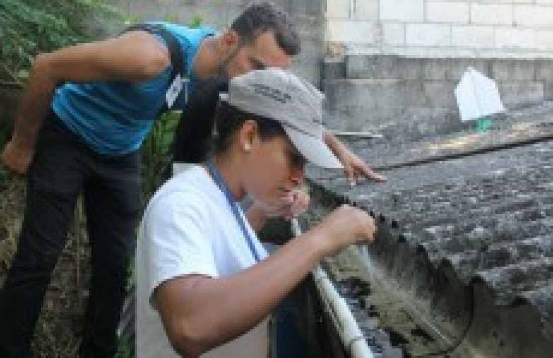Casos de dengue têm queda de 72,6% em relação a 2015
