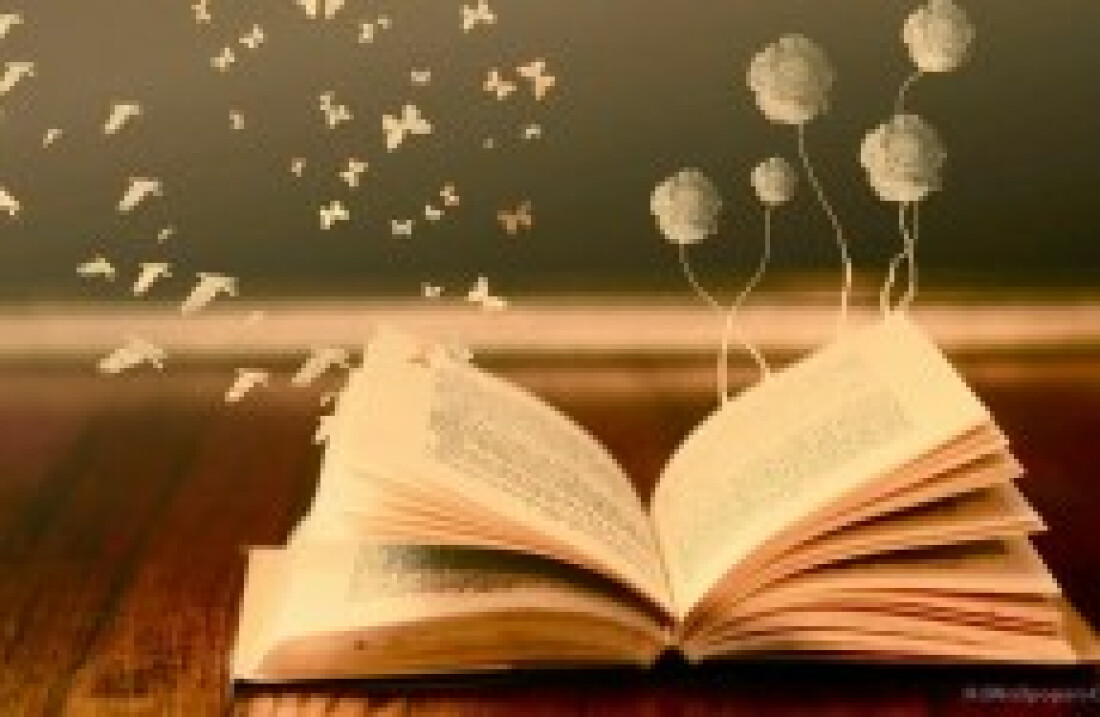 No mundo dos livros