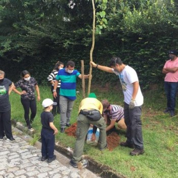 Guararema realiza plantio de árvores em bairro