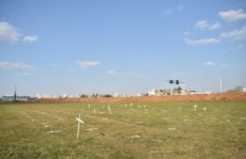 Em 4 meses, Suzano supera o número de mortos de 2020