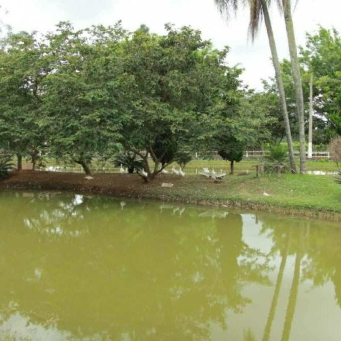 Parque Mario do Canto reabre em Itaquaquecetuba