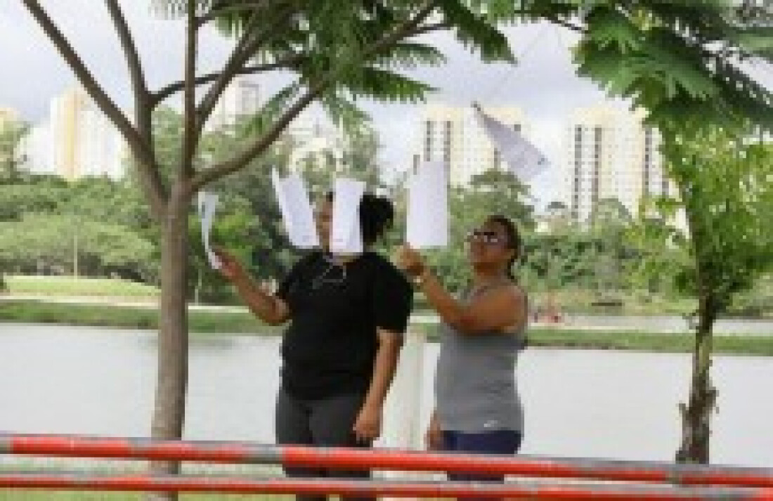 Diferentes segmentos artísticos estarão reunidos na Flisi 2016