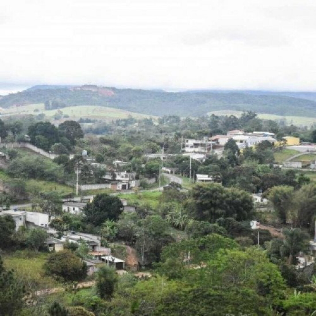 Mogi recebe 407 denúncias e autua dois estabelecimentos