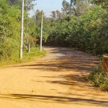 Licitação para reforma de mais três estradas deve sair até maio